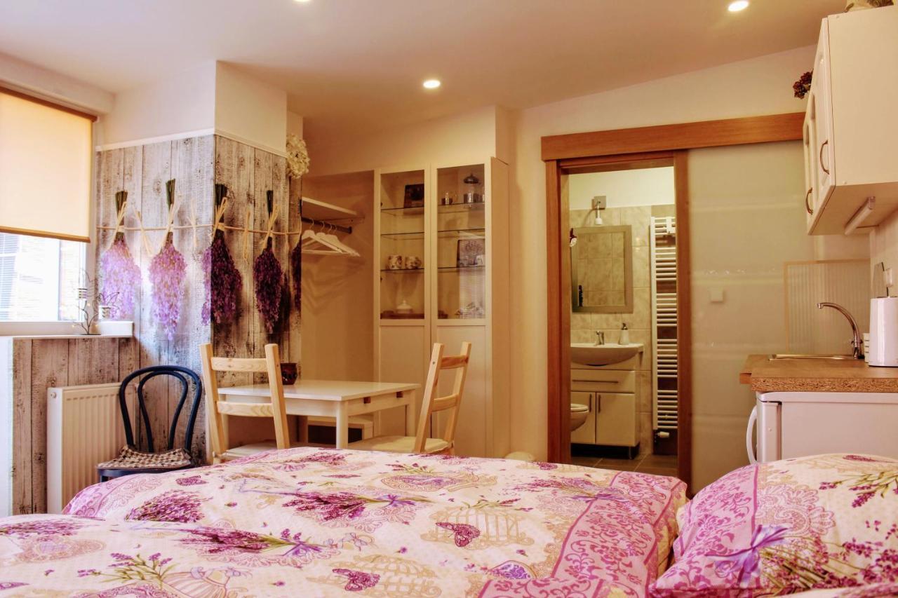 Apartman Za Kopcem بوسكوفيتسي المظهر الخارجي الصورة